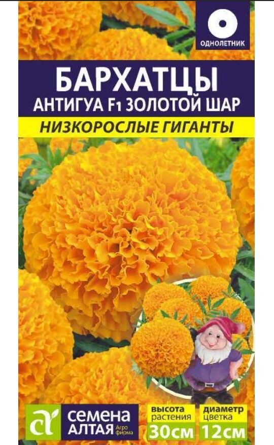 Цветы Бархатцы Антигуа Золотой шар Низкорослые гиганты семена