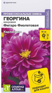 Цветы Георгина Фигаро Фиолетовая махровая семена 