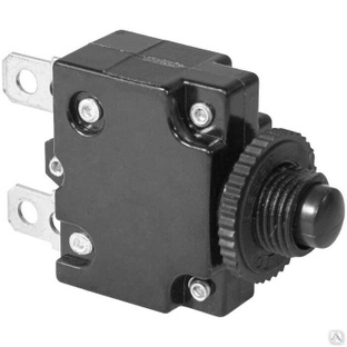Автоматический выключатель RUICHI L-MZ, 43.8х29х14.3 мм, 30 А, постоянный и переменный ток, корпус черный, кнопка черная 