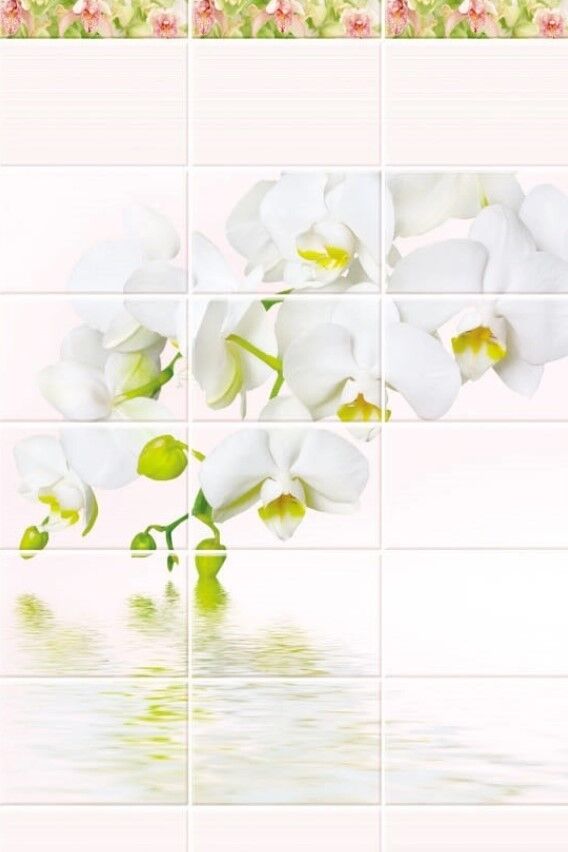 Панели ПВХ Новита Акватон. Панель ПВХ Орхидея зелёная Новита. Панель ПВХ Акватон белая Орхидея. Панели ПВХ Новита белая Орхидея. Панель пвх орхидея