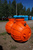 Жироуловитель 2 куб.м (2 м2) для очистки сточных вод от частиц жира в системе канализации #2