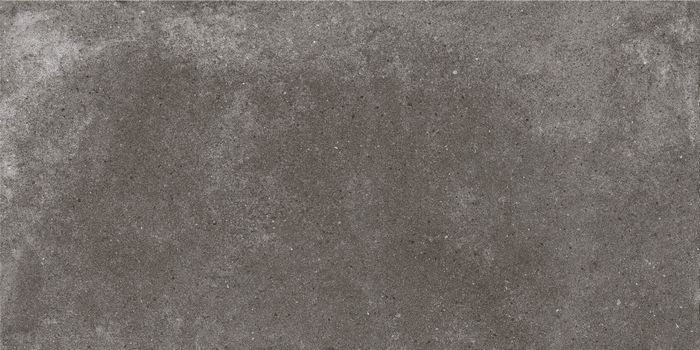 Керамическая плитка Керамин Cersanit Lofthouse Темно-серый Керамогранит 29,7х59,8