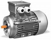 Электродвигатель 4/1500 АИС 100LC4У2 исп 2181 (специальное исполнение)