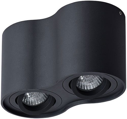 Потолочный светильник Arte Lamp A5645PL-2BK, черный A5645PL-2BK черный
