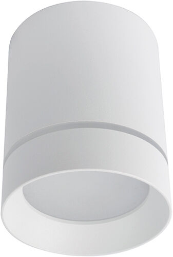 Точечный накладной светильник Arte Lamp (A1949PL-1WH) белый