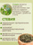 Стевия натуральная листья 20 г травяной чай, сахарозаменитель Артемизия 79585 #2