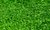 Ковролин трава искусственная LX-1003 D8мм-2м (рез 01) #1