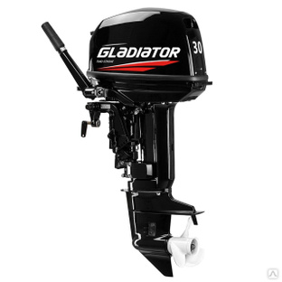 Gladiator G 30 FHS 