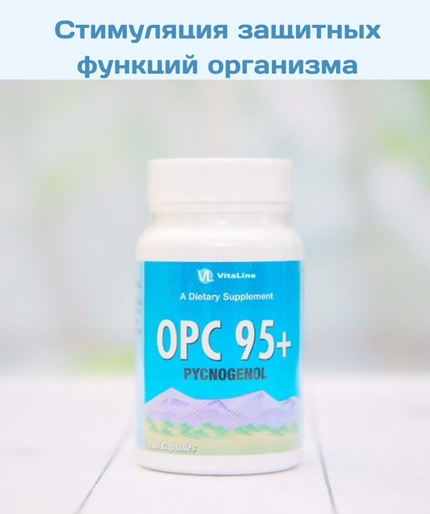 Бад ОПС 95+ / Пикногенол ОРС 95+ Pycnogenol 100 капсул Vitaline