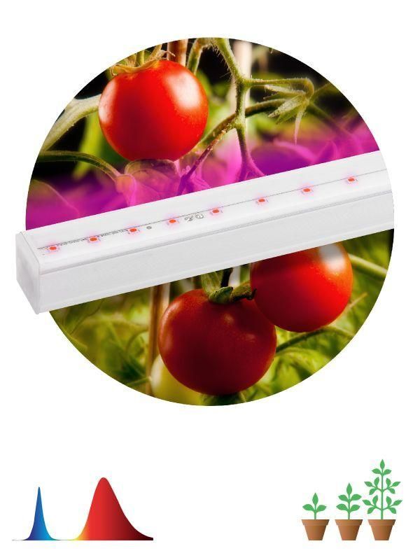 Светильник светодиодный для растений FITO-14W-Т5-N 14Вт 220-240В линейный для периода вегетации фиолет. свечение ЭРА Б00